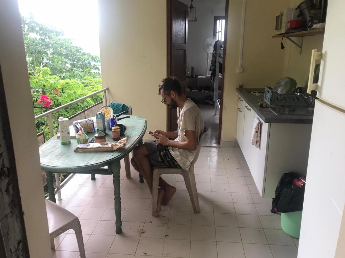 Top Hill Hostel- Martinique- Auberge Dortoir 라 트리니테 외부 사진