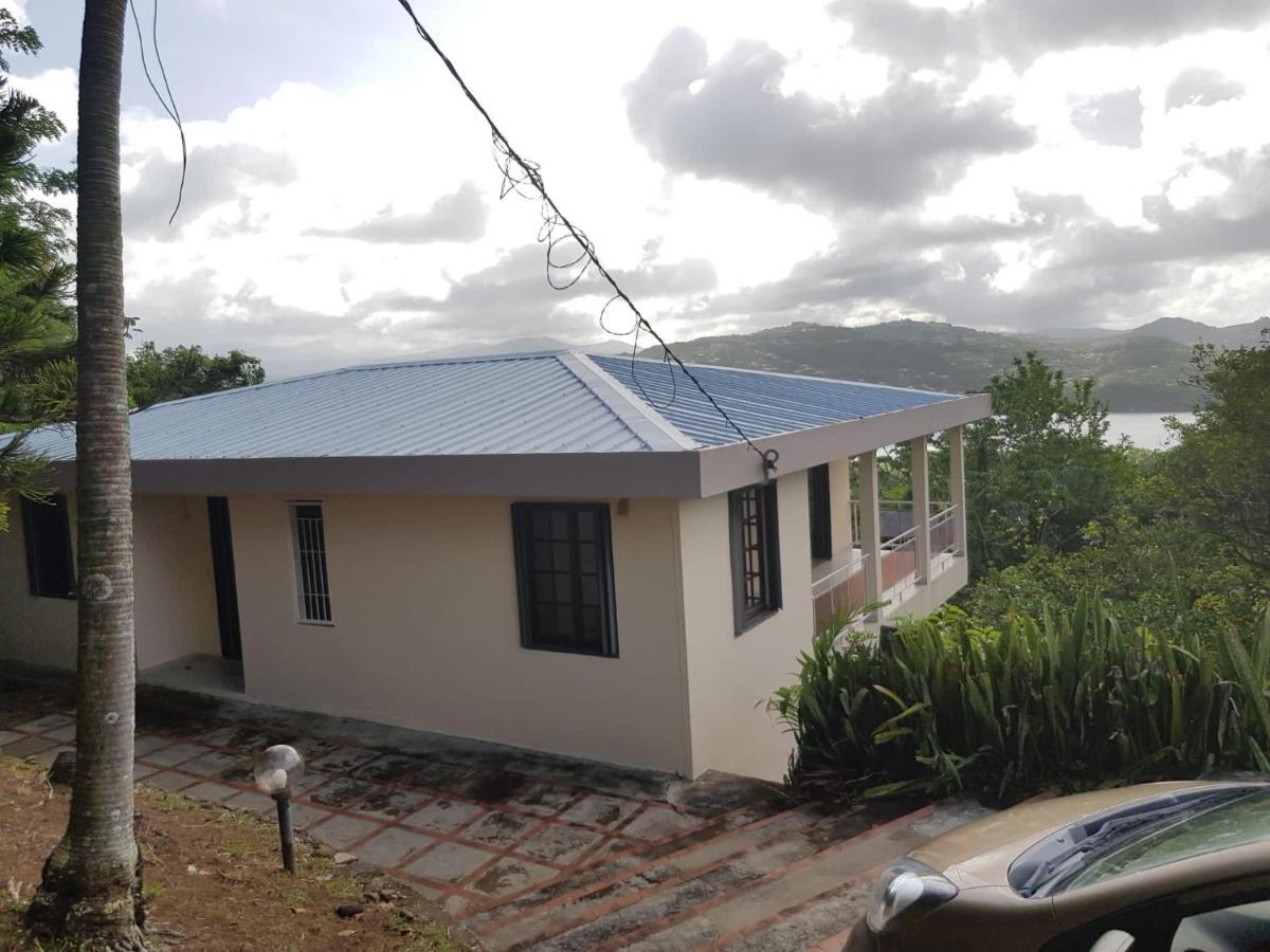 Top Hill Hostel- Martinique- Auberge Dortoir 라 트리니테 외부 사진