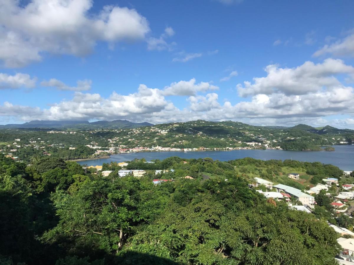 Top Hill Hostel- Martinique- Auberge Dortoir 라 트리니테 외부 사진