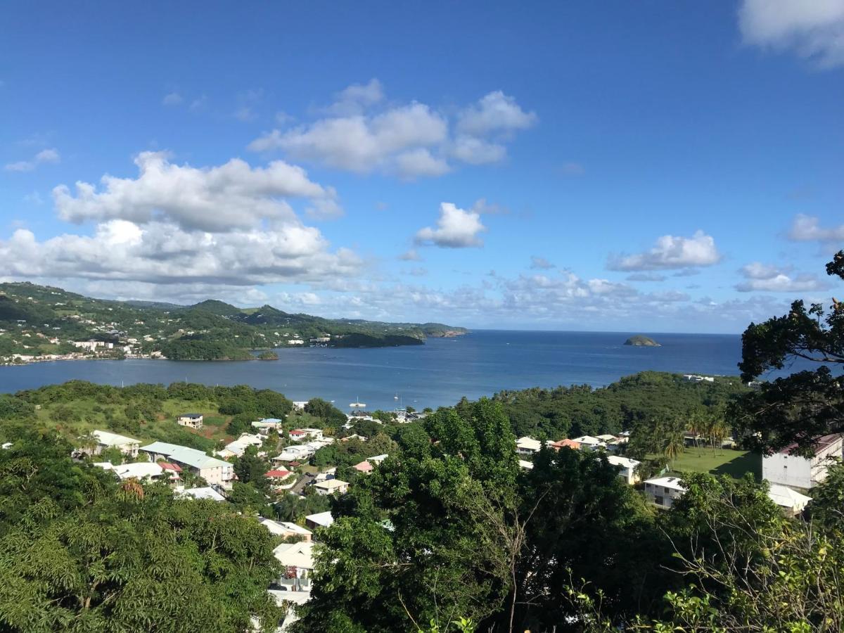 Top Hill Hostel- Martinique- Auberge Dortoir 라 트리니테 외부 사진